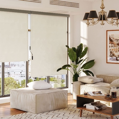 Balcón Protección solar y de la privacidad Mecanismo de manivela de mano Vertical Roller Blind exterior
